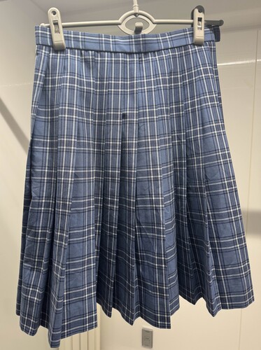 ���R�� ���z���Z�@�������@�u���[�`�F�b�N���@�F�i�q���@�v���[�c�X�J�[�g�@���i