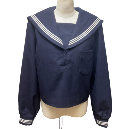 ꌧ ÎsꒆwZ@~Z[[߁@17@TCY