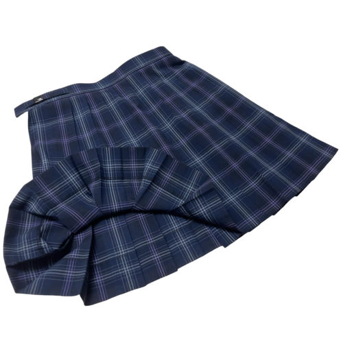 [ʐM] 򒹖ȍwZ@ʐM@ăXJ[g