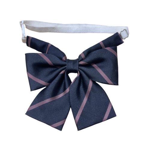 [ʐM] 򒹖ȍwZ@ʐM@{^C