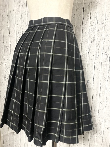 �����s �@����w�����w�Z�@�X�J�[�g�~