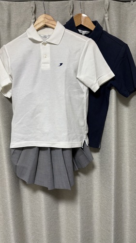 �_�ސ쌧 �_�ސ쌧 �ˌ��w�� �|���V���c2��E�X�J�[�g