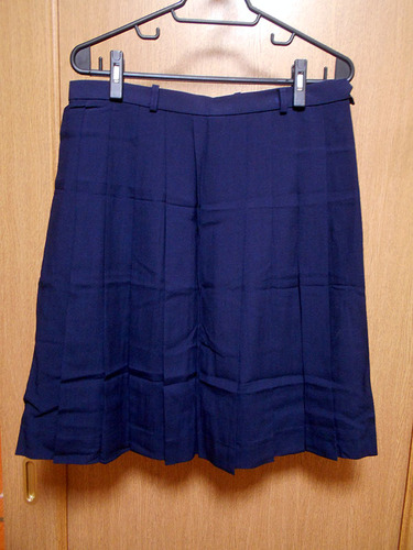 ���Ɍ� �������q�w�@���w�E���Z ���j���[���h �� W78-L60 �ĕ� �X�J�[�g ���Ђ�20�{