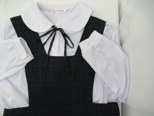 ������ 7335�@660�@�傫�ȃT�C�Y�I�u���E�X+�ăW�����X�J �R���{���t