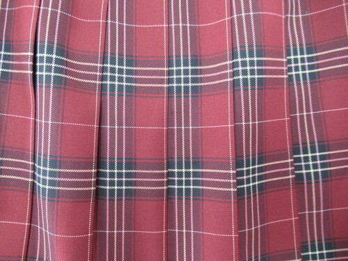 [�s��] 7355�@570�@�~�X�J�[�g SCHOOLTIGER�� �ԁ{���{�N���[�� �`�F�b�N��