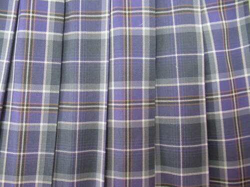 �F�{�� 7361�@580�@�傫�ȃT�C�Y�I�Ўu���Z �~�X�J�[�g ���{�O���[�{�� �`�F�b�N��