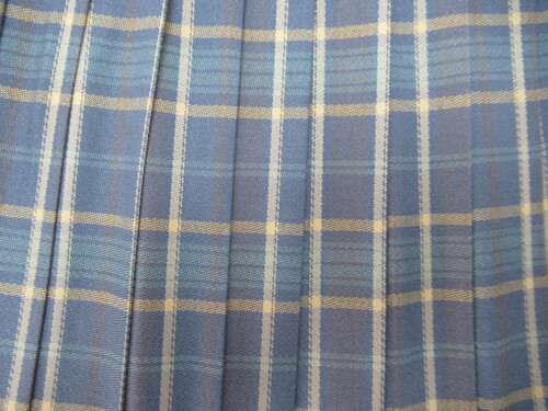 [�s��] 7366�@490�@�~�X�J�[�g VARSITYMATE TOMBOW �n�{�x�[�W���{�� �`�F�b�N��