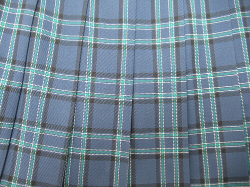 [�s��] 7367�@530�@�~�X�J�[�g Predichant �n�{�΁{�� �`�F�b�N��