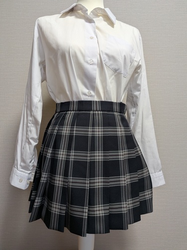 �_�ސ쌧 �����������Z�@�~�}�C�N���~�j�X�J�[�g