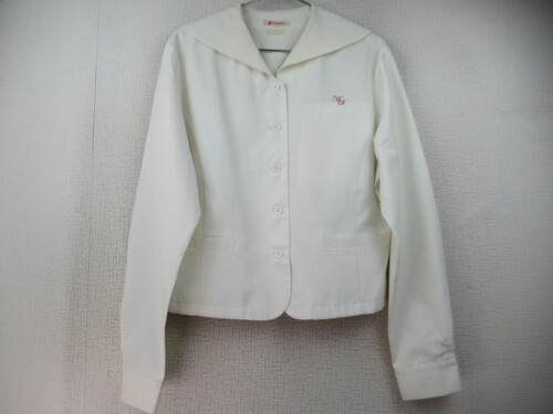  7407@250@w ԃZ[[㒅 O{^