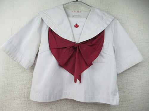  7419@280@V{Z ăZ[[㒅 ԃXJ[tt