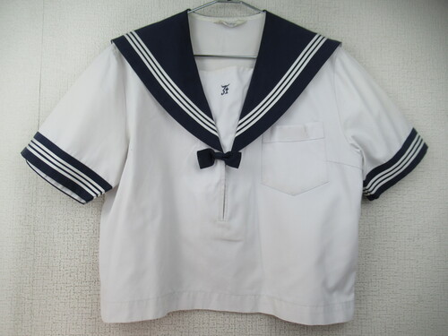 ꌧ 7422@230@傫ȃTCYILw ăZ[[㒅  {t