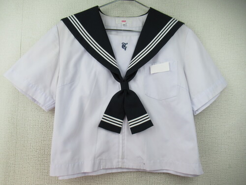 啪 7425@250@傫ȃTCYIߍ蒆w ăZ[[㒅  ^Ct OWbp[