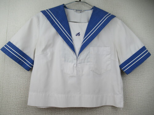 F{ 7431@210@ԗ˒w ăZ[[㒅 F