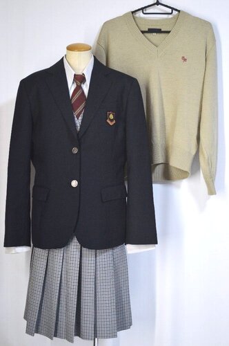  ���É��� �˗z�����w�Z �u���U�[�~�� �l�N�^�C��T5441