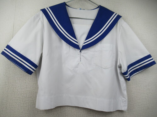 �F�{�� 7441�@240�@�傫�ȃT�C�Y�I�l�����w �ăZ�[���[�㒅 ��