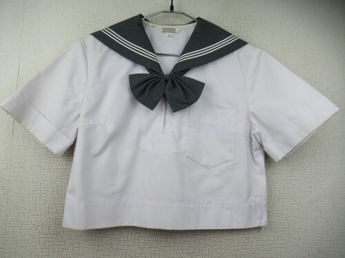 �F�{�� 7442�@220�@�ăZ�[���[�㒅 MITSUTA �O���[�� ���{���t