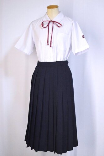  ����t�� ���s���x�����w�Z �ĕ� �R���{����T5445