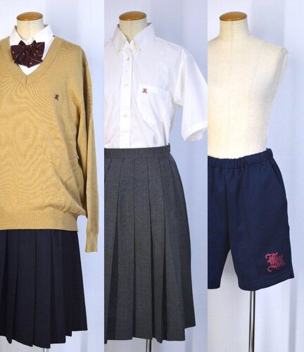  ����ʌ� �t�������h�����w�Z �~�ĕ� ���{�� �Z�p����T5449