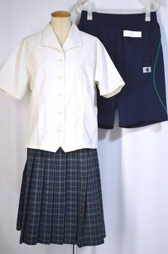  ���傫�� ��ʌ��� ���������w�Z �ĕ� �Z�p����T5453