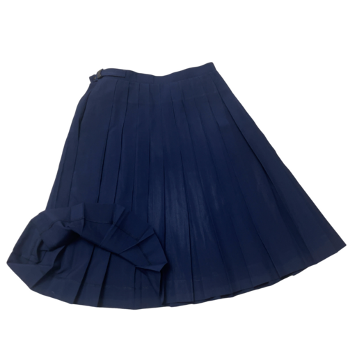 �_�ސ쌧 ���s���{�蒆�w�Z�@�ăX�J�[�g