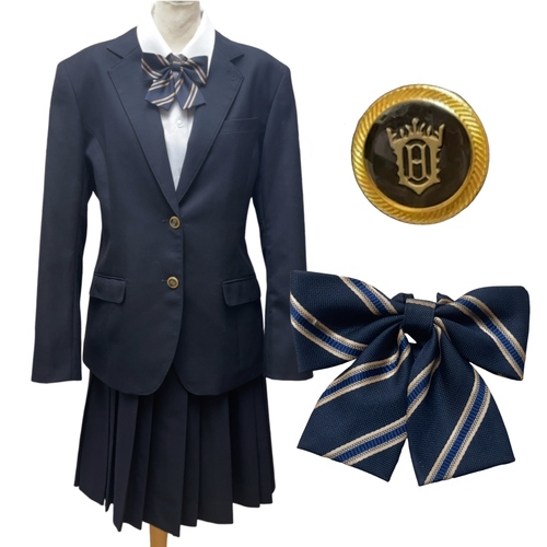 �_�ސ쌧 �@����w��񍂓��w�Z�@175A ���������@�� ������ѐi�w�Z�@�΍��l69 ����������u���b�N�X�^�C��