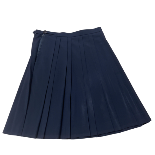 �_�ސ쌧 �@����w��񒆊w�����w�Z�@�ăX�J�[�g�@�΍��l69 �i�w�Z