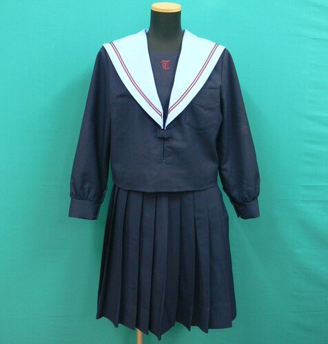 ���{ #1246�@���F�G���J�o�[��2�{���C���̓~�Z�[���[�Z�b�g�@�T�C�YA55