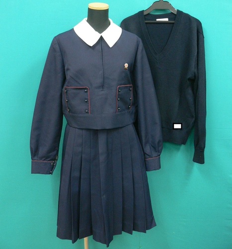 �ޗǌ� #1256�@�s�ޗǒ�ˎR�t�u���U�[�����~�Z�b�g�@�Z�͕t