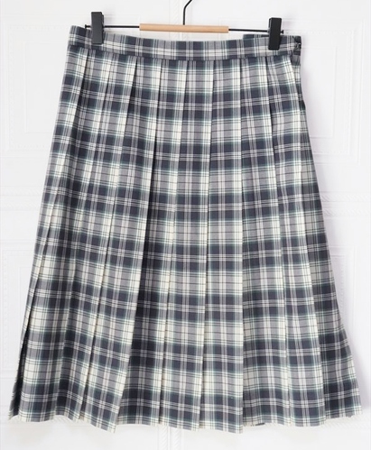 �����s ���� ���h�w�����Z ���q ������ �ĕ� �`�F�b�N�X�J�[�g