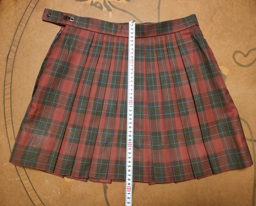  �y�`���b�Ə䂪38�p�I�z����/��t��/����/�s�����Z/���q/�w�Z�w��/�ԃ`�F�b�N��/�~�j�X�J�[�g