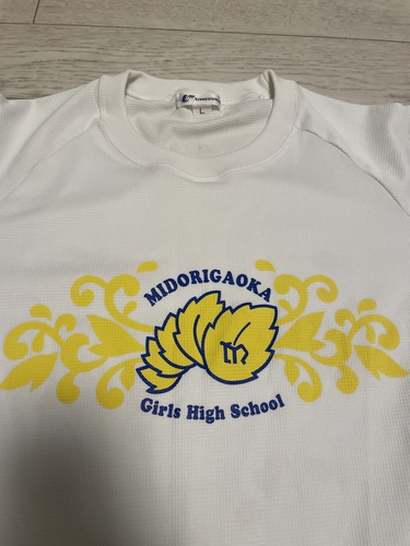 �_�ސ쌧 �΃��u���q���Z �̑��� �����V���c 2�_ �T�C�YL