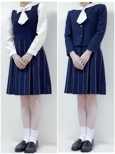 ���ꌧ �������ꐴ�a���Z�~���Z�b�g�S�w��󏭂Ȍ��x���g��̌^�W�����X�J