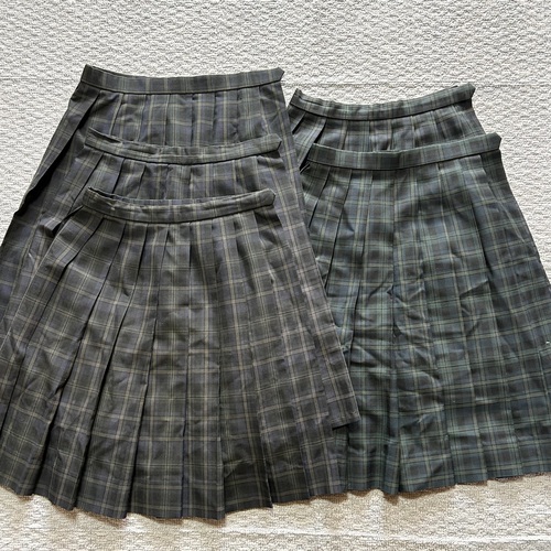 [�s��] ���w�Z�E���Z�����@�X�J�[�g�T��