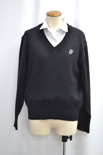  �Z��錧 �]�ː�w����蒆�w �����w�Z �����u���E�X �Z�[�^�[ ����6060