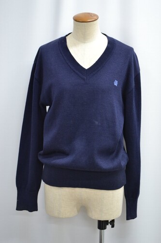  �Z�����s �]�ː쏗�q���w �����w�Z �Z�[�^�[ ����6061