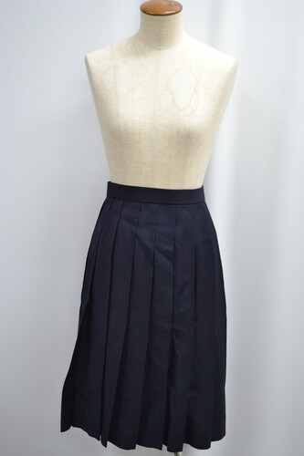  �Z��size ��ʌ��� ��{�썂���w�Z �ăX�J�[�g ����6063