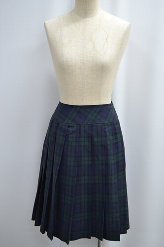  �Z��ʌ��� �����������w�Z �ăX�J�[�g ����6070