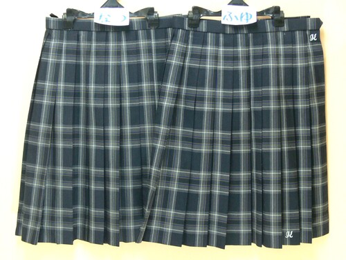 ���{ ��913�������{���L�ˍ��Z�@�āE�~�̃X�J�[�g