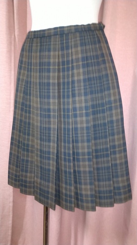 �����s ���F�w�����q���w�����w�Z  �傫��size �`�F�b�N�~�j�X�J�[�g �~����   41