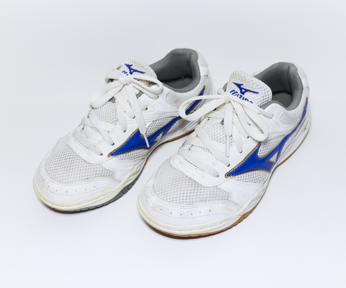 �F�{��  �� [G-481] �F�{�M�����w�@���Z�^���q�@�̈�p�̈�كV���[�Y�@23.5�p�@�_����̔��i��^