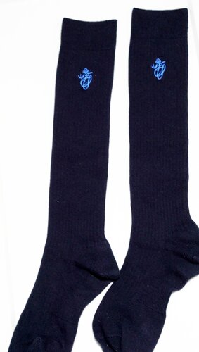 �����s �������i�쏗�q�w�@�������E�������@�w��\�b�N�X��