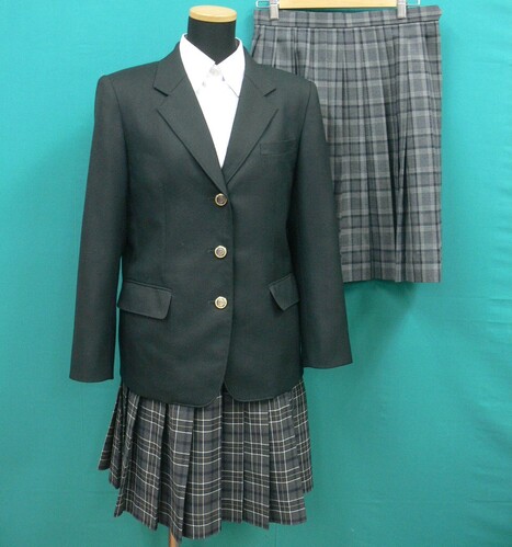 ���{ #1270�@�s���{���@���䎛���Z�t�O���[���n�u���U�[�����~�ăZ�b�g�@�T�C�Y160A