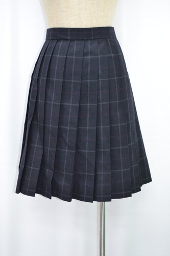  �������s ��Ȓ��썂���w�Z �~�X�J�[�g ��NA0580