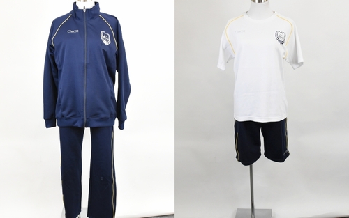 �����s �B�i��G�g���[�����q���Z�@�̑����E�W���[�W�Z�b�g�@�̈�p�O����