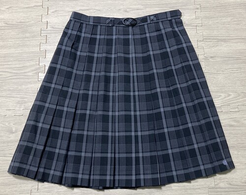 ���{ 12-111����㋳���w�������Z���`�F�b�N�̉ăX�J�[�g�@�E�G�X�g76�����y�傫�ȃT�C�Y�z