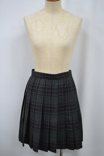  �Z�����s�� �k�썂���w�Z �~�X�J�[�g ����6075