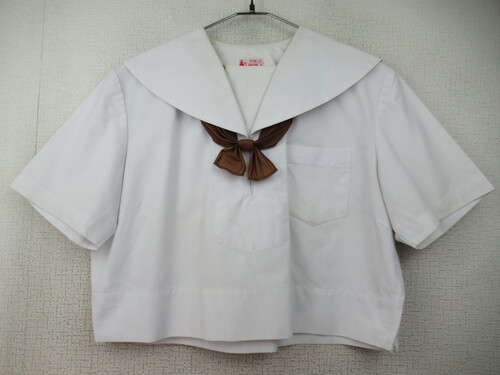 �F�{�� 7620�@260�@����T�C�Y�I�ăZ�[���[�㒅 �X�}�[�g ���{���t