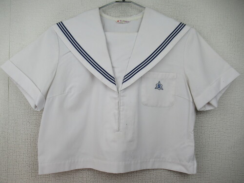 ���ꌧ 7633�@230�@���Y�ˍ��Z �ăZ�[���[�㒅