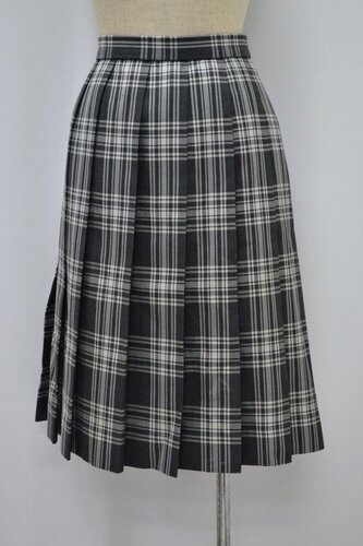  �������s�� �_�|�����w�Z �~�X�J�[�g���n�t�� ��NA0585